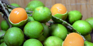 Three-year-old girl dies after choking on a lemongrass seed in Elías Piña | De Último Minuto English