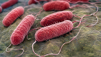 FDA investigates Salmonella outbreak that has sickened at least 84 people in the U.S.
