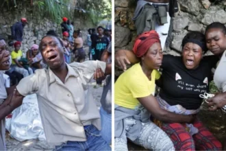 Dozens dead in new gang offensive in Haiti | De Último Minuto English