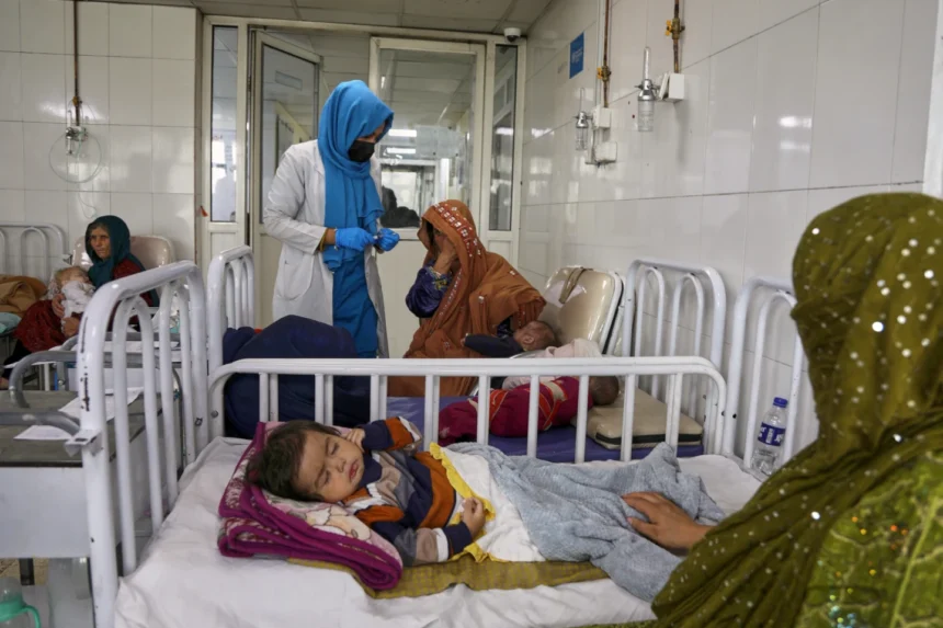 Afghanistan's Taliban rulers detain two members of the UN political mission | De Último Minuto English