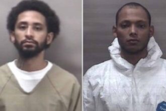 Two Dominicans accused of killing elderly Connecticut man after employee was fired