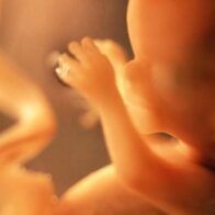 Investigation underway into the discovery of a fetus in the vicinity of the Moscoso Puello hospital | De Último Minuto English