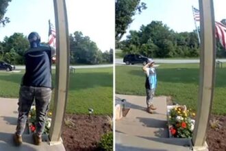 VIDEO: Amazon delivery goes viral after stopping to respectfully untangle a U.S. flag
