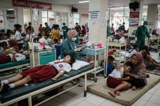 More than 250 children hospitalized in Indonesia after new poisoning from free school menu | De Último Minuto English