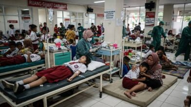 More than 250 children hospitalized in Indonesia after new poisoning from free school menu | De Último Minuto English