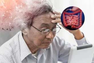 ¿Can the gut influence Alzheimer's? A study seeks the answer | De Último Minuto English