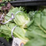 Cyclosporiasis outbreak from contaminated lettuce leaves two dead and more than 11 thousand cases in Michigan | De Último Minuto English