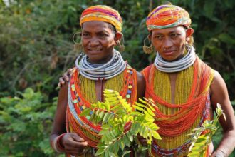 August 9th is the International Day of the World's Indigenous Peoples | De Último Minuto English