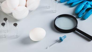 Nearly 100 sick in multistate salmonella outbreak linked to eggs in U.S.