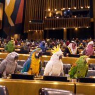 Israel mocks UN with AI-generated video featuring parrots