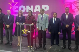 The PLD cancels its presidential consultation for October | De Último Minuto English
