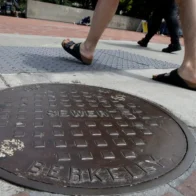 Person seen emerging from sewer in Queens, raising concerns about underground activity