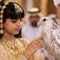 Father pays $408,000 for rare white falcon to fulfill daughter’s wish