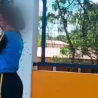 Schoolgirl hospitalized after being stung more than 100 times by swarm of bees in Brazil
