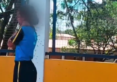 Schoolgirl hospitalized after being stung more than 100 times by swarm of bees in Brazil