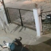 91-year-old woman dies after alleged monkey attack in India