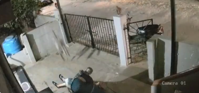91-year-old woman dies after alleged monkey attack in India