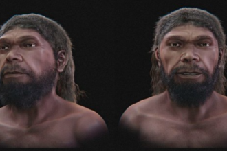 Scientists digitally reconstruct the face of a human who lived 315,000 years ago
