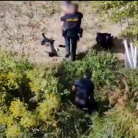 Minnesota police rescue autistic child from pond using tethered drone | De Último Minuto English