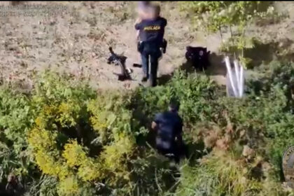Minnesota police rescue autistic child from pond using tethered drone | De Último Minuto English