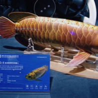 China unveils bionic “spy fish” robot designed to mimic real fish | De Último Minuto English