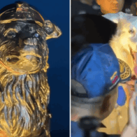 Venezuela unveils statue honoring rescue dog Tsunami | De Último Minuto English