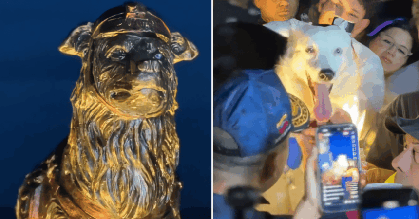 Venezuela unveils statue honoring rescue dog Tsunami | De Último Minuto English