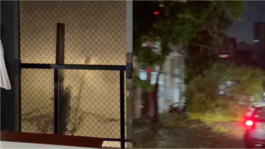 Strong winds and hail batter parking lot in Brazil | De Último Minuto English