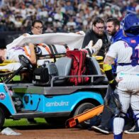 Mets first baseman Jared Young suffers concussion after collision with pitcher | De Último Minuto English