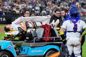 Mets first baseman Jared Young suffers concussion after collision with pitcher | De Último Minuto English