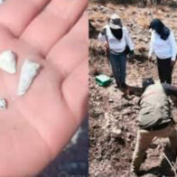 Mexican search mothers uncover suspected clandestine crematorium with children’s remains | De Último Minuto English