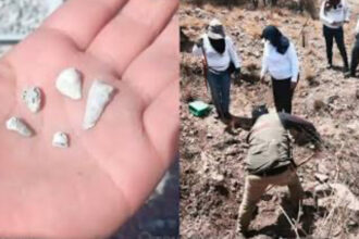 Mexican search mothers uncover suspected clandestine crematorium with children’s remains | De Último Minuto English