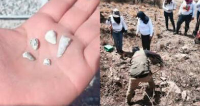 Mexican search mothers uncover suspected clandestine crematorium with children’s remains | De Último Minuto English