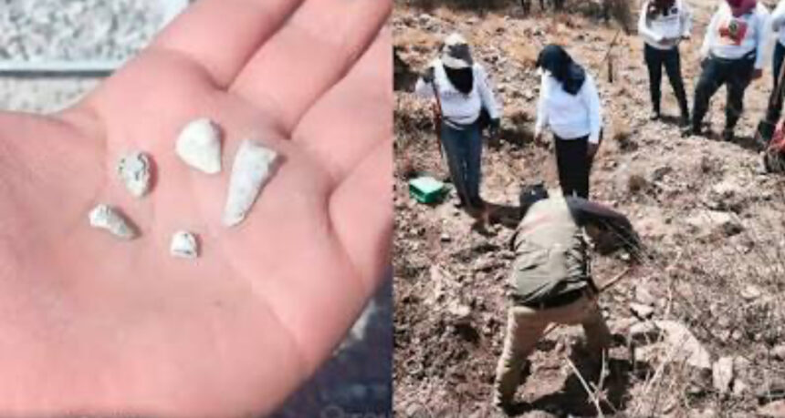 Mexican search mothers uncover suspected clandestine crematorium with children’s remains | De Último Minuto English