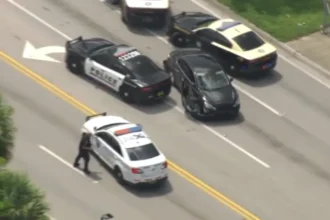 Man arrested after wild police chase following hospital escape in Miami-Dade | De Último Minuto English