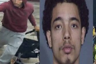 Dominican man pleads not guilty to killing two men in separate New York shootings | De Último Minuto English
