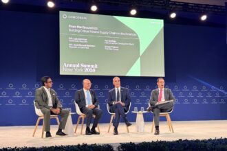 Abinader highlights DR's rare earth potential and projects first exports by 2028 | De Último Minuto English