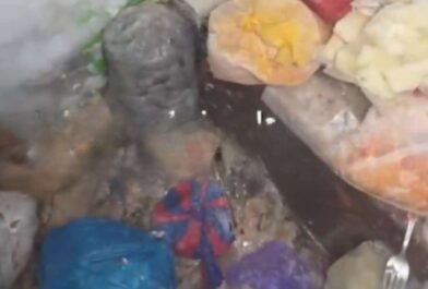 Restaurant in Ecuador temporarily closed after inspectors find rodent feces and pests