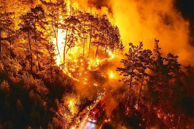 Wildfire rages through Antalya province in Turkey, threatening residential areas