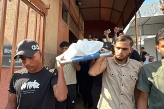 Israeli troops shoot and kill an 11-year-old boy in southern Gaza | De Último Minuto English