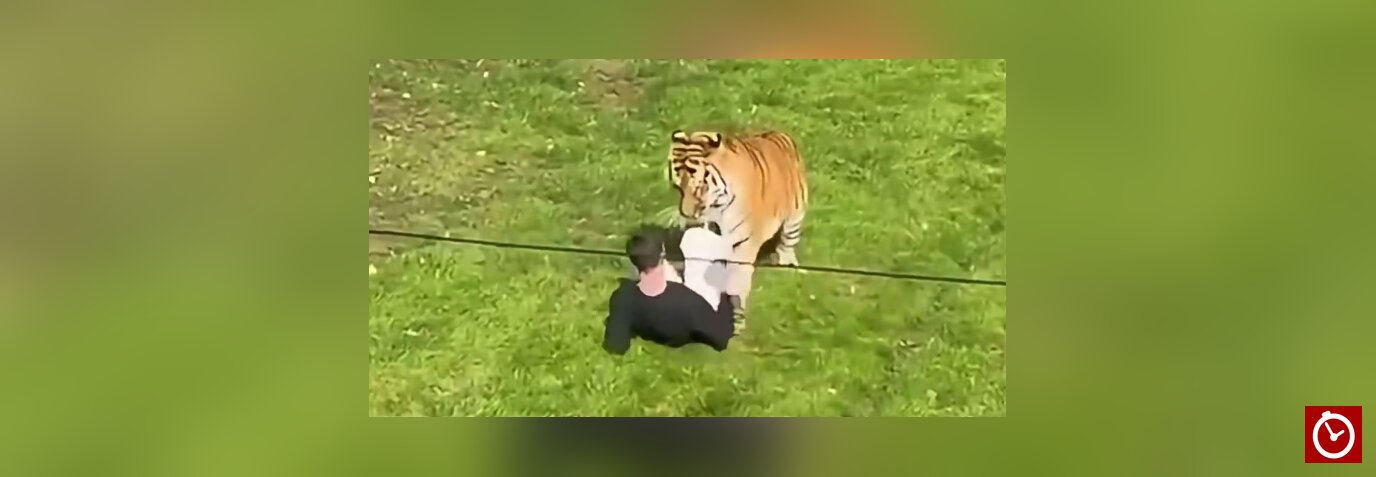 Witnesses say man prayed and bowed to tiger before fatal zoo attack in England