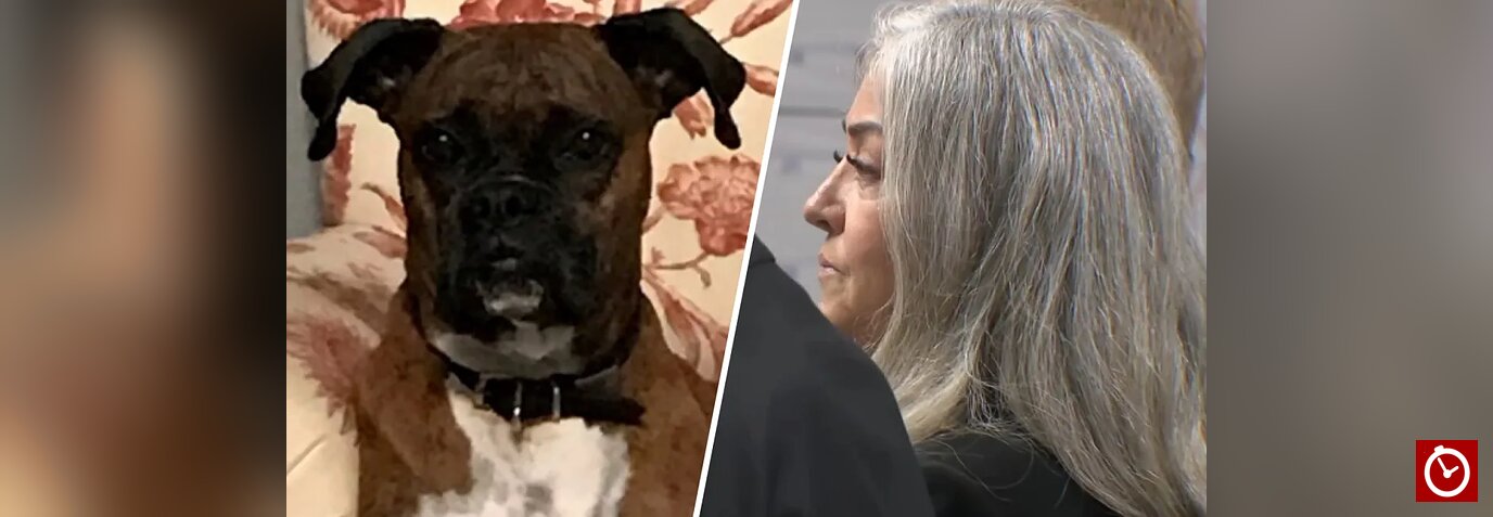 California woman pays $1,500 to avoid prison after registering her dog to vote