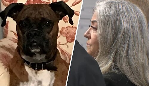 California woman pays $1,500 to avoid prison after registering her dog to vote