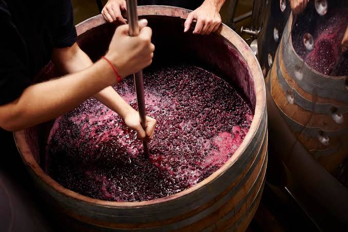French wine production falls to lowest level of the century