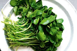 Watercress ranked the most nutrient-dense leafy green in CDC analysis