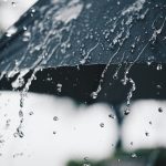 Tormenta Elsa se mueve rápidamente hacia el Caribe y puede fortalecerse