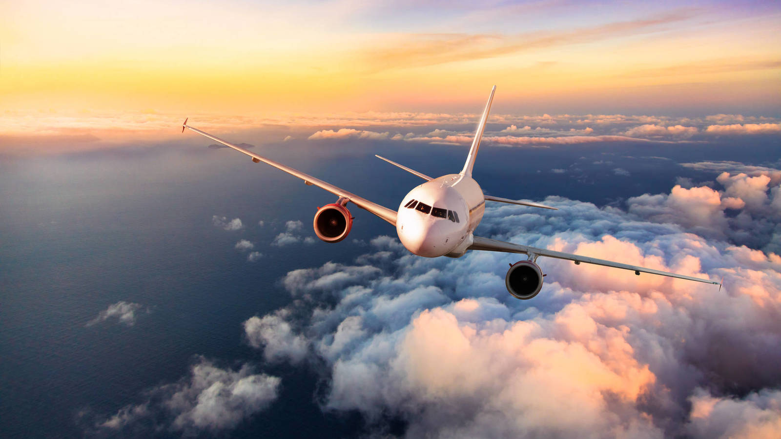 Están suspendidas todas las operaciones aéreas desde y hacia Haití