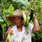Afirman impacto del cambio climático aumenta niveles de pobreza
