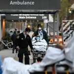 La pandemia ha provocado más de cuatro millones de muertes en el mundo