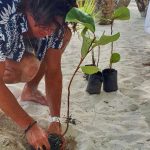 Mario Casas se suma a la jornada de restauración ecológica en RD
